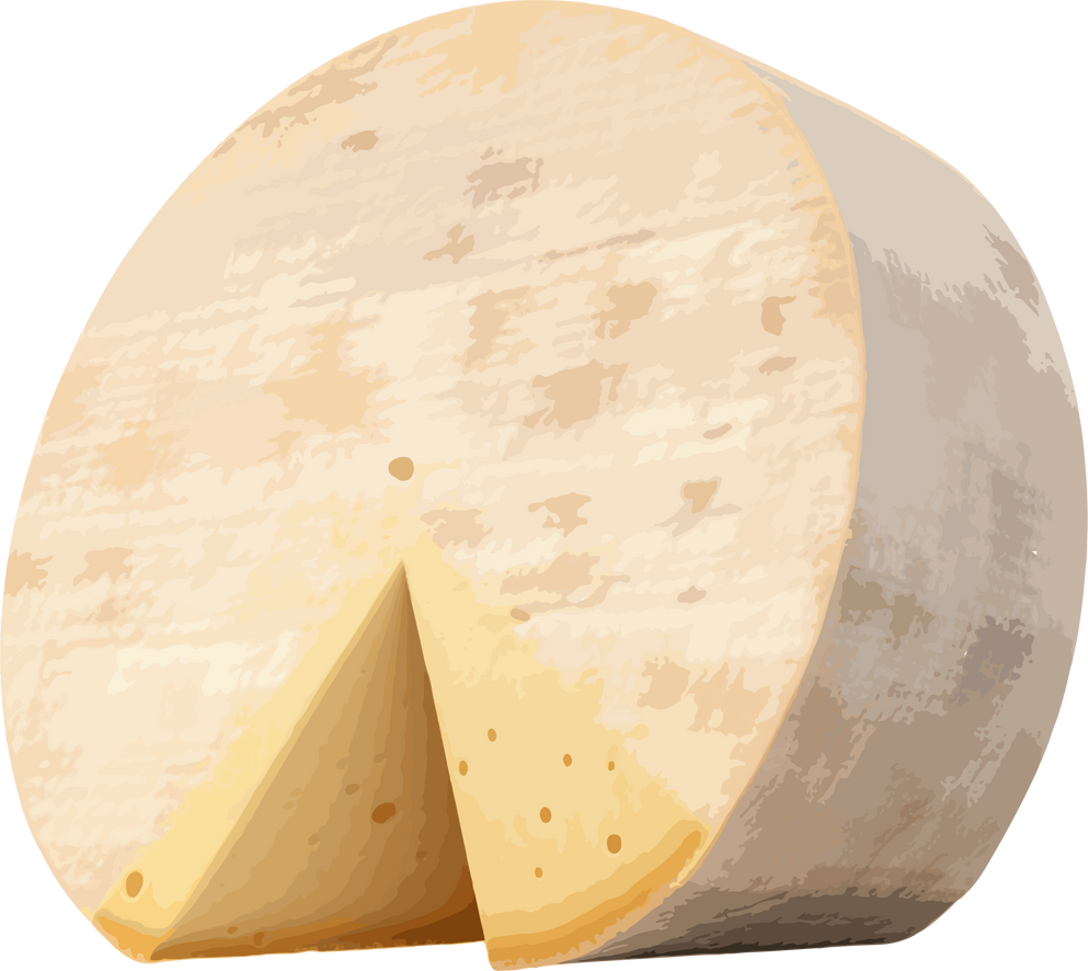 Parmesan cheese wheel clip art